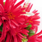 искусственные цветы букет ананас цвета темно-розовый 10