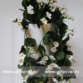 искусственные цветы фиалка (куст) цвета белый 6