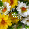 искусственные цветы герберы с добавкой пластика цвета белый с желтым 13